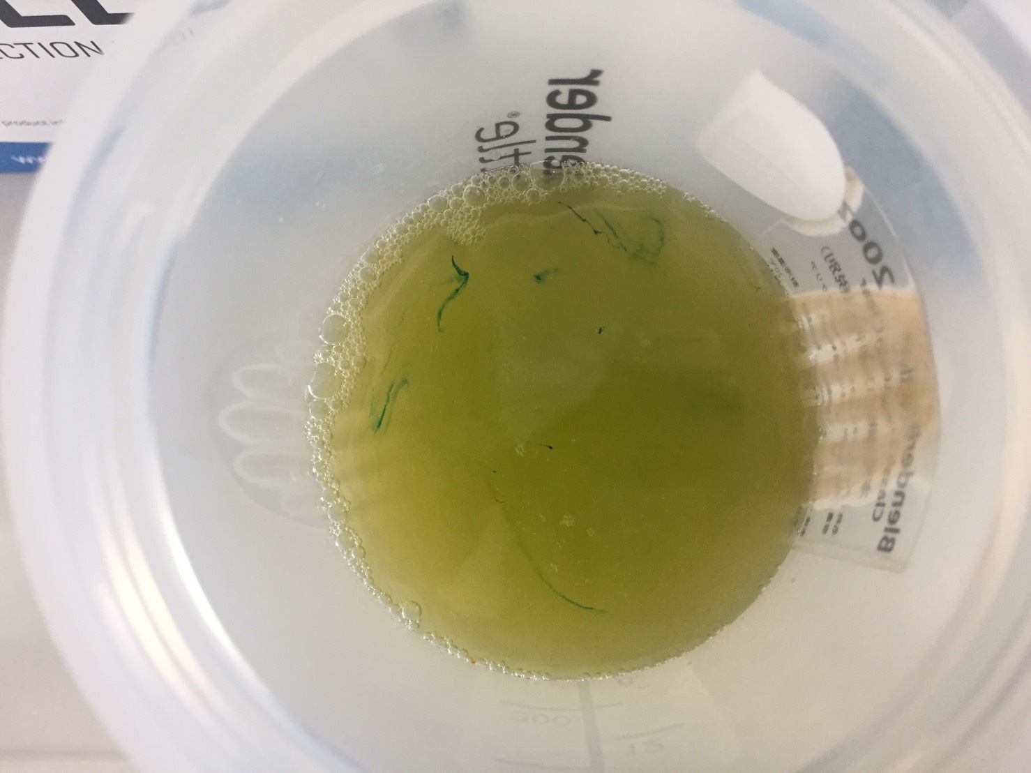 L-グルタミン「SOUR APPLE FLAVOUR(サワーアップル味)」に水を注いだ直後の様子