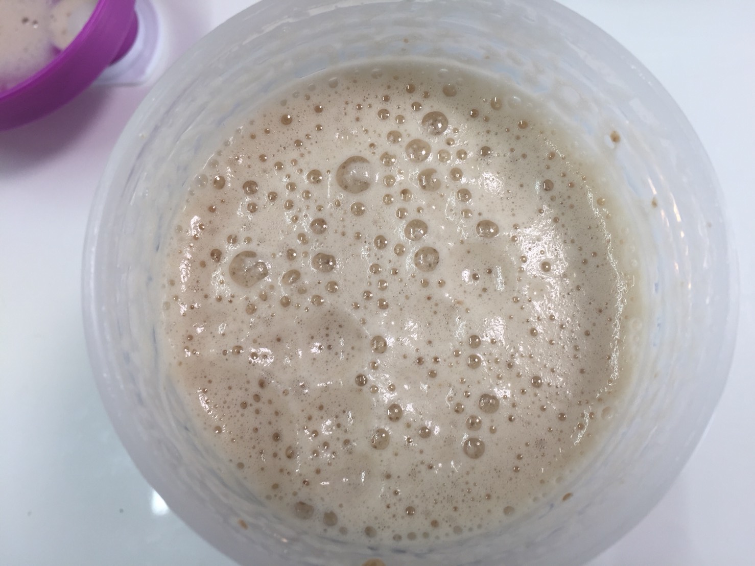 【WPC】Impactホエイプロテイン「SPECULOOS(スペキュラース味)」をシェイクした直後の様子