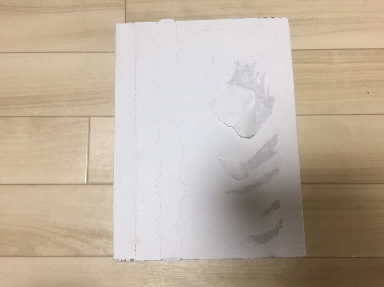 Nullリムーバークリームが届いた様子
